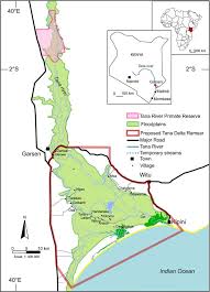 Image result for Anthericopsis sepalosa