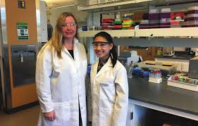 College of Pharmacy Annual Report for FY2017