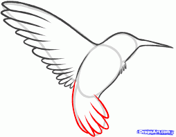 How might you use these easy drawing guides, designed for kids of all ages? Bird Flower Drawing Step By Step Novocom Top