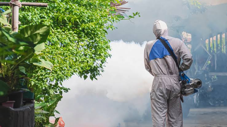 Eliminar mosquitos en el exterior y mantener un jardín libre - IQV Matholding Group