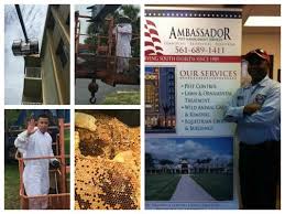 601 heritage dr #432 jupiter, fl 33458. Ambassador Pest Management 601 Heritage Dr Ste 444 Jupiter Fl Pest Control Mapquest