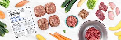 You can order directly through darwin's natural pet products on their website and have your products sent right to your door. High Quality Ingredients Darwin S Natural Pet Products Darwin S Pet Food
