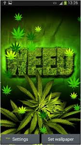 43 Wallpaper Weed On Wallpapersafari Explore weed wallpapers on wallpapersafari | find more items about trippy wallpapers, 420 wallpaper, marijuana wallpaper.