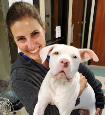 Kicking off Monday with another broken femur repair...because, why  not...that's what we do! We think this cute pup was hit by a car and our  friends at Virginia Veterinary Centers are going