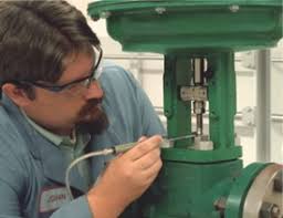 Emerson Exchange 365