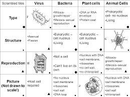 Maybe you would like to learn more about one of these? Virus Scrambled Tiles Animal Cellsplant Cellsbacteria Structure Dna Or Rna Envelope Protein Coat No Nucleus Cell Membrane Ribosomes Cell Wall Dna Loop Ppt Download