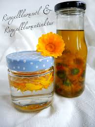 Man kann sie als creme, öl oder tinktur anwenden. Https Xn Fruleingrn R5a90a At 2016 08 11 Ringelblumenoel Und Ringelblumentinktur
