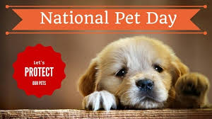 National pet day, observed every year on april 11, may seem like any other day of the year to those with their own furry, feathered, scaled or sleeker skinned companions, but there's more to this holiday. Allegorical Littera National Pet Day