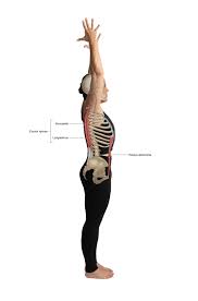 Check spelling or type a new query. Lumbar Disc Herniation Yoga My Personal Journey Stacy Dockins