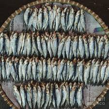 The wicker basket is such a refreshing contrast! Dried Fish Or Tuyo On A Wicker Basket Photograph By David Guyler
