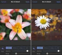 Some graphics editors can create several different types of blurred backgrounds: Discover The Best Blur Background App For Blurring Your Iphone Photos