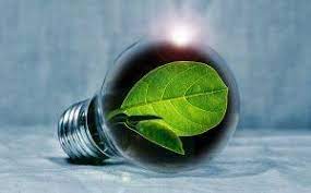Avis Electricite Verte Quel Fournisseur Choisir Pour Consommer Mieux