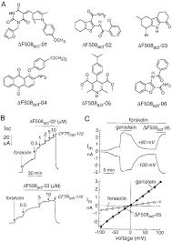 Image result for Delta F508