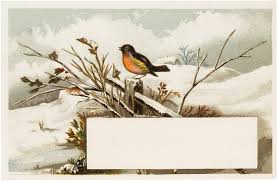 Vintage Winter Bird Label Vintage Artwork Vintage Labels Background Vintage