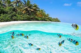 However, the stunning rock formations and crystal clear water make it more than worth it. Tropical Islands Voyagerist
