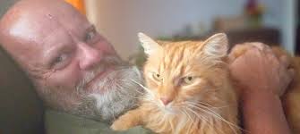 Lost cat Monro found and returned home in Pittsworth