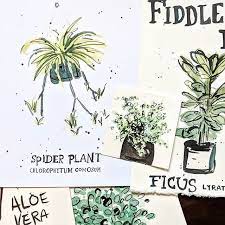 Is It Funny To Anyone Else That Certain Plant Species Become Trendy I Find This Fascinating Like Culture And Fashion Can Determine What Plants You Want To H