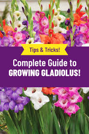 Pin On Cut Flower Garden
