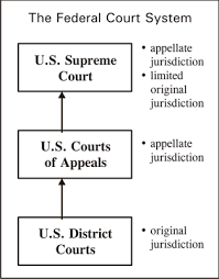Ch 9 The Judiciary Flashcards Quizlet