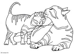 Many pictures of cats, kittens coloring sheets and pictures. Coloring Page Kittens Free Printable Coloring Pages Img 17439