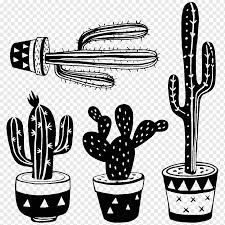 Can anyone give me any advice how to help my cactus? Cactus Drawing Sticker Black And White Plant Hand Line Cactus Drawing Sticker Png Pngwing