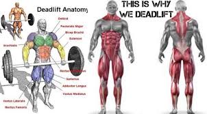 Check spelling or type a new query. How To Deadlift Xtra Fit Personal Training In Wandsworth Sw London