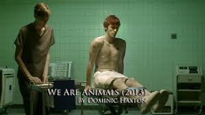 Lives in the palace of easter eggs and is responsible for picking the five kindest, swiftest, and wisest rabbits or hares as easter bunnies. We Are Animals 2013 Short Film By Dominic Haxton Gay Themed Movies