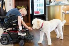Image result