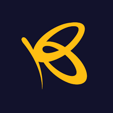 Provides commercial financing and mobile payment services. Flutterwave Medium