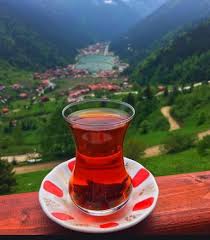 Rize'nin ardeşen ilçesinde etkili olan sağanak yağış sonrası çay bahçesinde meydana gelen heyelan saniye saniye kameraya kaydedildi. Dokme Caylar Caykur Caykur Rize Turist Cay 1000 Gr