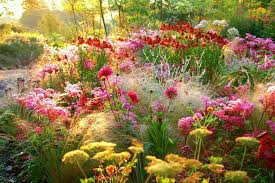 Huntingbrook Gardens Ireland Irish Garden Plants Small Cottage Garden Ideas