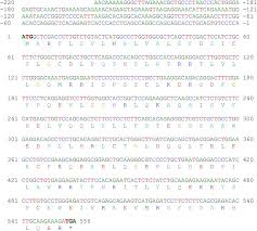 La información más relevante de los últimos días, resumida en nuestra galería de noticias. Camelid Type I Interferons Identification And Functional Characterization Of Interferon Alpha From The Dromedary Camel Camelus Dromedarius Sciencedirect