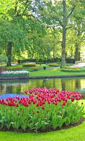 keukenhof gardens holland beautiful nature pictures most beautiful gardens beautiful flowers garden