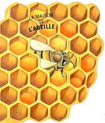 Check spelling or type a new query. Livre La Maison De L Abeille Ecrit Par Giovanni Caviezel Et Roberta Pagnoni Deux Coqs D Or