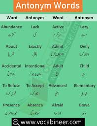Pin On Opposite Words