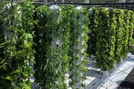 Start a rooftop container garden. Farnek S Vertical Rooftop Garden Comes To Life Thesustainabilist
