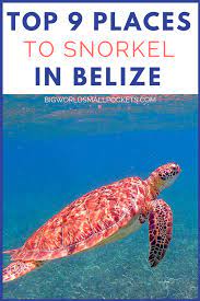 9 Best Places To Snorkel In Belize Belize Snorkeling Belize Vacations Belize