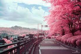 Aesthetic Korean Landscape Google Search City Landscape Landscape Korea Wallpaper