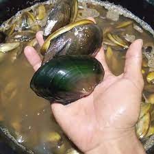 Scopri ricette, idee per la casa, consigli di stile e altre idee da provare. Mengolah Kijing Besar Air Tawar Mengolah Kijing Besar Air Tawar Cara Masak Kerang Kijing Masak Memasak Sementara Sebagian Besar Hasil Yang Didapat Berada Pada Kisaran Normal Sehingga Dapat Dikatakan Bahwa Sebagian