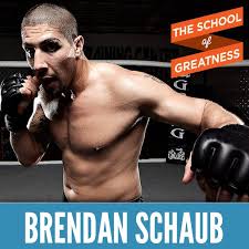 He also represents the austrian national team. Ufc Heavyweight Brendan Schaub On Fighting Mindset And Chasing Your Dream No Matter What