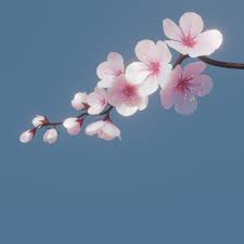 Maybe you would like to learn more about one of these? Cherry Blossom Branch 3d Model In Flowers 3dexport
