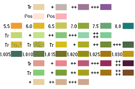 urinalysis