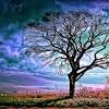Download webshots desktop to create screensavers for free. 3