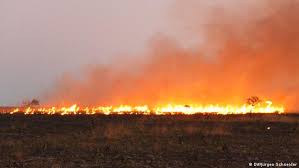 It may also be described as a blaze or simply a (large) fire. Convivencia Pacifica De La Naturaleza Con Los Incendios Proteccion Del Medioambiente Dw 03 09 2013