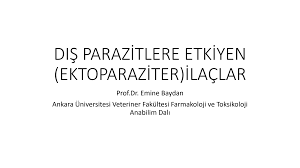 Https Acikders Ankara Edu Tr Mod Resource View Php Id 81961