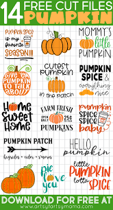 Download Pumpkin Spice Shirt With Free Pumpkin Cut Files Artsy Fartsy Mama