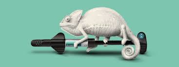 Details of dental clinics and medical centers in malaysia performing dental implants. Harmonize Nanohybrid Universal Dental Composite A Collection Of Experiences Kerr Dental