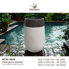 Image result for Stadmannia oppositifolia