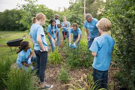 World environment day is an annual observance on 5th june. World Environment Day Facts For Kids Dk Find Out