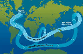 Marine Biology Science Fair Projects Ocean Currents Modeling The Global Conveyor Belt In Your Kitchen Science Project Ocean Current Ocean Weather And Climate